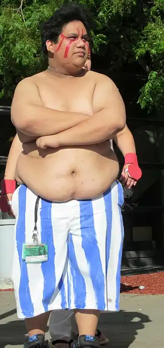 Cosplayer - E. Honda, FanimeCon 2010