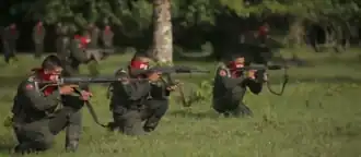 Nationaal Bevrijdingsleger