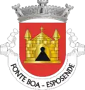 Vlag van Fonte Boa