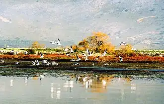 Nationaal park Mesolongi-Aitoliko