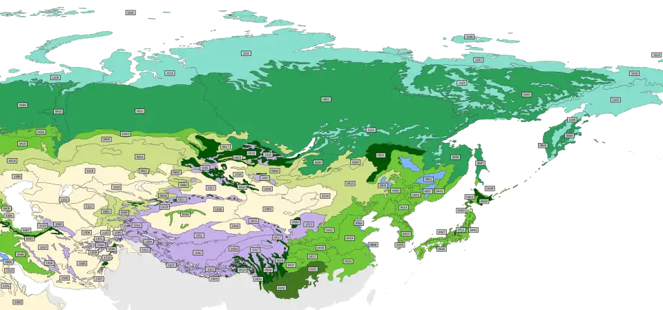 De WWF-ecoregio's van het oostelijk Palearctisch gebied