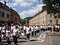 Springprocessie