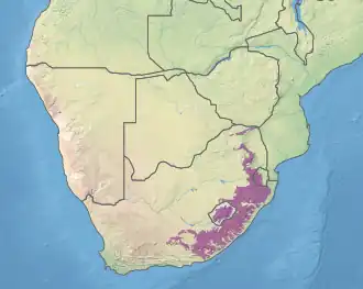 Berggrasland, bosland en bos van de Drakensbergen