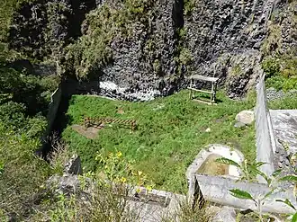 Verblijf van de brilberen