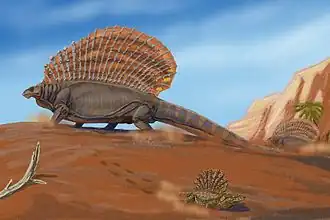 Platyhystrix en Edaphosaurus (Eupelycosauria)