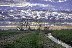 Voormalige huisstede aan de Nijlânswei ten westen van Nieuwland.