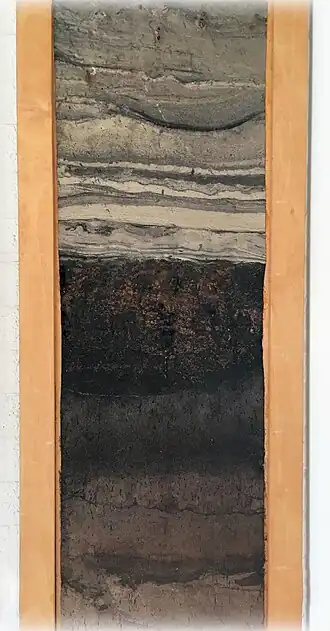 Profiel van een moerpodzol met zanddek