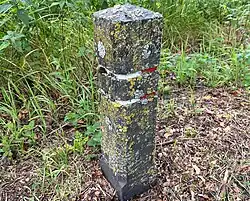 Diamantkoppaal begroeid met de kapjesvingermos-associatie