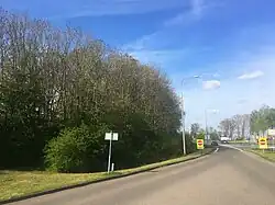 Schermbos met een duidelijke mantel, langs de A325 bij Elst