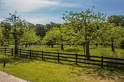 Een van de fruitboomgaarden