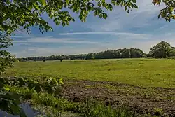 Een weiland in het verpachte noordelijke gedeelte