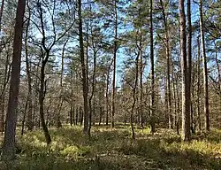 Een vroeg voorjaarsaspect