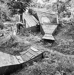 De Talmakooi in 1982.