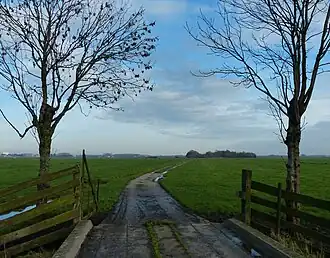 De eendenkooi in 2013