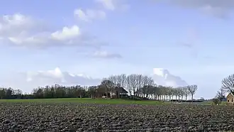 Wierde (Eenumerhoogte)