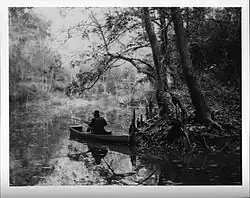 The line creek, 1895