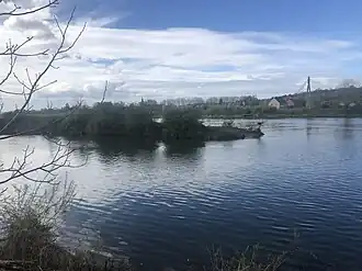 Punt van het schiereiland in de Maas