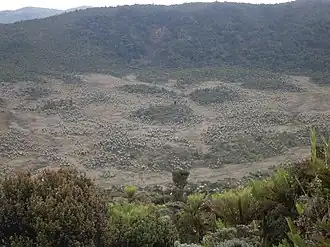 Valle de los Frailejones