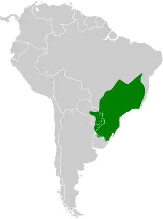 Paraná-elenia