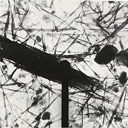 Foto met een elektronenmicroscoop