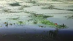 Elementen-Water,2008