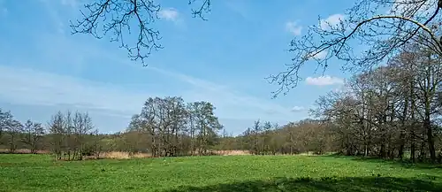 Elsburger Onland vanaf Schelfhorst