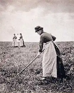 Working on the field