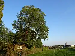 Dornicker Mühle, 2019