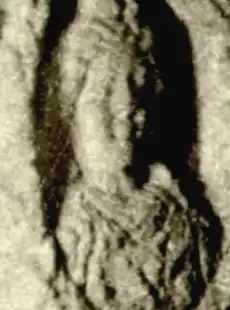 Reliëf in het mausoleum van het paleis van Diocletianus in Split, vermoedelijk een afbeelding van Prisca.