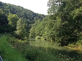 Wiesent bij Engelhardsberg