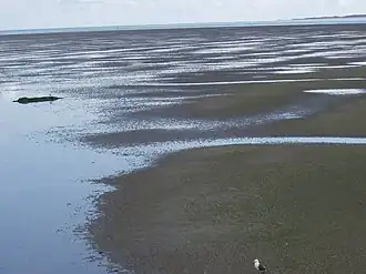 Een blik op de drooggevallen Engelsmanplaat gezien vanuit de wadpost (2009)