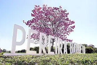 Welkomstbord van Pereira Barreto