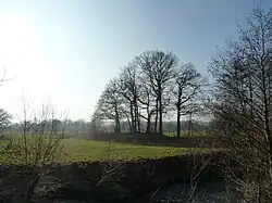 De motteheuvel gezien vanuit het noordoosten