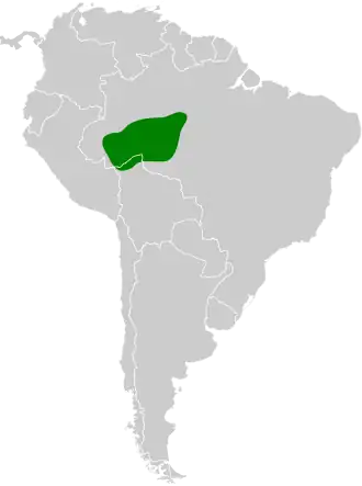 Rio-madeiramiersluiper