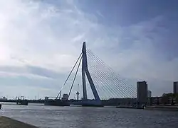 De Erasmusbrug gezien vanuit het oosten