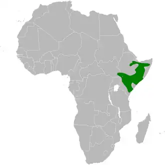 Somalische vinkleeuwerik