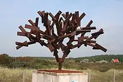 Boom (2006), Bergen aan Zee