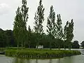 Île des peupliers („Populiereneiland“) met de grafsteen.
