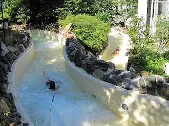 Wildwaterbaan in het park