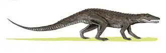 Erpetosuchus