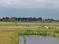 Doorkijk vanaf de kop Inlaat in Onderdijkse Waard t.h.v. van de oude veersteiger in Onderdijkse polder