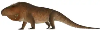 Erythrosuchus