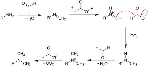 mechanisme Eschweiler-Clarke-reactie