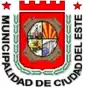 Wapen van Ciudad del Este