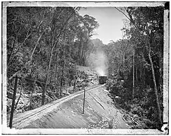 De Corcovadotrein nog voordat deze geëlektrificeerd was