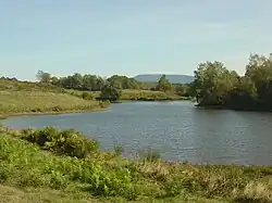 Weiland met op de achtergrond de Ballon de Servance, een van de bergen van de Vogezen.