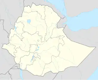 Addis Abeba (Ethiopië)
