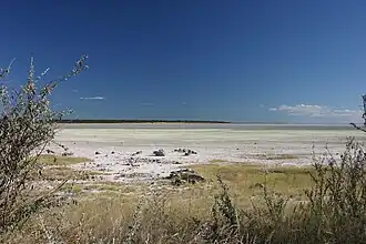 De Etosha-zoutpan in Noordoost-Namibië.