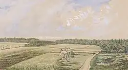 Oogst, collectie MNAHA