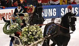 Ereronde van de kampioenen in arrensleeën